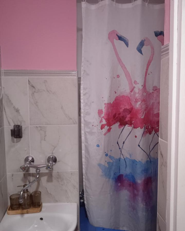 Studio Luna Appartement Karlovac Extérieur photo